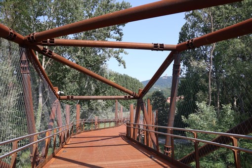 Meisino, la Circoscrizione 7 fa il punto sul parco: "Con l'Università tavolo aperto per l'uso degli spazi"