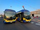 Dal Lingotto a Barriere di Stura, nuovi bus sulla linea 2 Dal Lingotto a Barriere di Stura, nuovi bus sulla linea 2