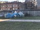 Neve e Glitz abbandonati e ammalorati