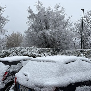 Da Pino a Rivoli a Bardonecchia, neve sul Torinese