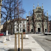 Nuovi tigli in piazza Benefica Nuovi tigli in piazza Benefica