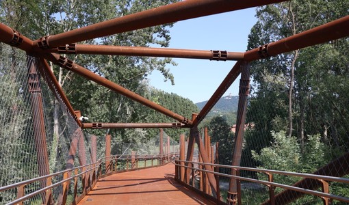 Meisino, la Circoscrizione 7 fa il punto sul parco: "Con l'Università tavolo aperto per l'uso degli spazi" Meisino, la Circoscrizione 7 fa il punto sul parco: "Con l'Università tavolo aperto per l'uso degli spazi"
