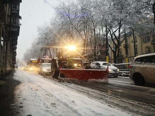 Caos bianco a Torino, Lo Russo: &quot;Piano neve prodotto da Appendino. Va rivisto&quot;