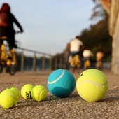 palline da tennis sulla ciclabile lungo il Po