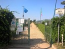 Non più zucchine e pomodori, ma fiori e cassoni rialzati: così cambiano gli orti urbani della Circoscrizione 7 Non più zucchine e pomodori, ma fiori e cassoni rialzati: così cambiano gli orti urbani della Circoscrizione 7