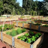 Orti urbani, Chieri investe quasi 100 mila euro per 17 nuove 'casette'