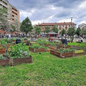 Festa dei Vicini del Mondo agli orti: due giorni tra cibo, musica e integrazione