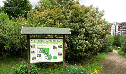 Immagine di repertorio