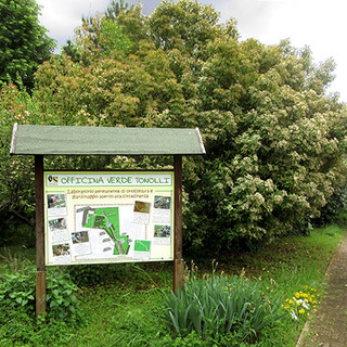 Immagine di repertorio