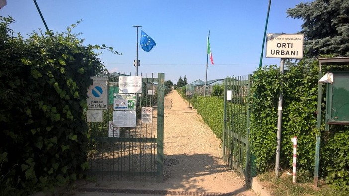 Non più zucchine e pomodori, ma fiori e cassoni rialzati: così cambiano gli orti urbani della Circoscrizione 7