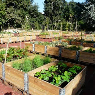 Orti urbani, Chieri investe quasi 100 mila euro per 17 nuove 'casette'