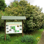 Immagine di repertorio