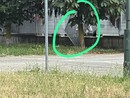 Ancora segnalazioni di abusivi al parcheggio Caio Mario Ancora segnalazioni di abusivi al parcheggio Caio Mario