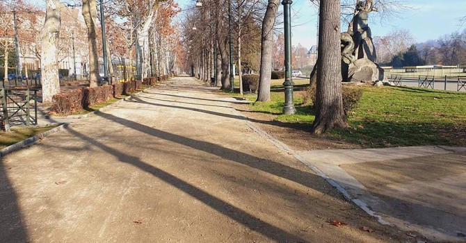 In macchina nei parchi di Torino: quasi 1.600 multe per sosta vietata e Ztl non rispettata