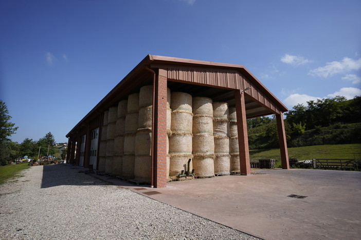 Prefabbricati Guerrini, un’azienda sempre più innovativa all’inserimento ambientale delle proprie realizzazioni per il settore agricolo FOTO Prefabbricati Guerrini, un’azienda sempre più innovativa all’inserimento ambientale delle proprie realizzazioni per il settore agricolo FOTO