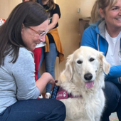 Carezze e giochi in pediatria: al via la pet therapy al Santa Croce