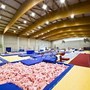 Il Pala Ginnastica di via Pacchiotti intitolato a Patrizia Signor