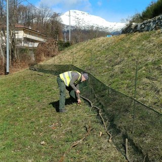 Il posizionamento delle reti e della segnaletica Il posizionamento delle reti e della segnaletica