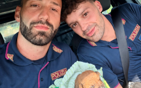 Intrappolato nelle condotte fognarie a soli dieci giorni di vita: salvato un cucciolo e ricongiunto alla madre