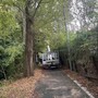 Maxi potatura per gli alberi attorno ai campi sportivi del Carrara