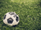 Quindici discipline per un pomeriggio sportivo al Gerbido di Cavour Quindici discipline per un pomeriggio sportivo al Gerbido di Cavour