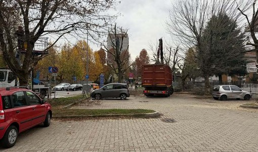 Nichelino: parcheggiano in divieto di sosta e impediscono la potatura degli alberi