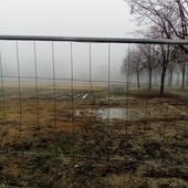 Un lettore segnala le condizioni del prato di piazza d'Armi dopo le Atp Finals