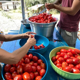 pomodoro