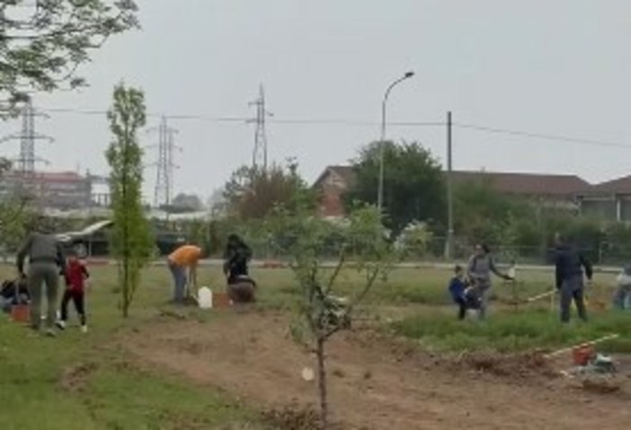 A Nichelino nasce il primo frutteto 'partecipato' A Nichelino nasce il primo frutteto 'partecipato'