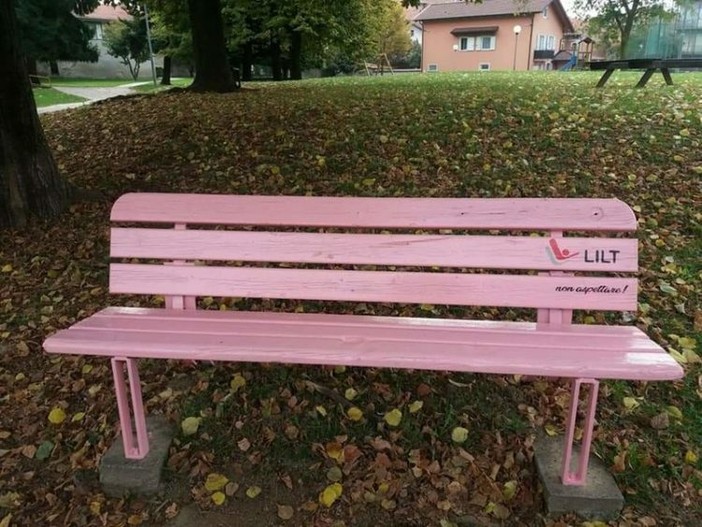 Panchina rosa a Trofarello per il mese della prevenzione (foto d'archivio) Panchina rosa a Trofarello per il mese della prevenzione (foto d'archivio)