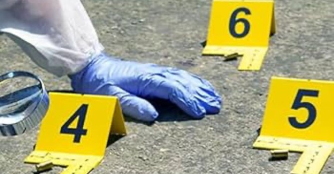 Alessi (FdI): "Situazione inaccettabile, serve controllo sui palazzi fatiscenti" Alessi (FdI): "Situazione inaccettabile, serve controllo sui palazzi fatiscenti"