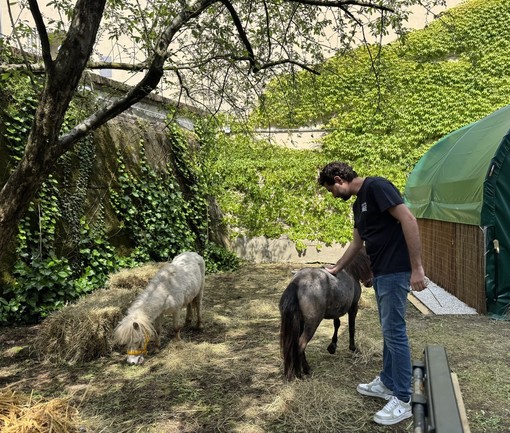 Fondazione AIEF inaugura la fattoria coi mini pony al Castello di Lucento Fondazione AIEF inaugura la fattoria coi mini pony al Castello di Lucento
