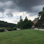Novità per il Parco del Valentino Novità per il Parco del Valentino
