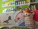 Collegno, inaugurata “Pan di zenzero”, libreria didattica per bambini
