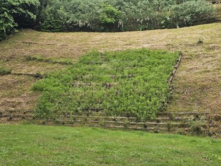 Parco Leopardi