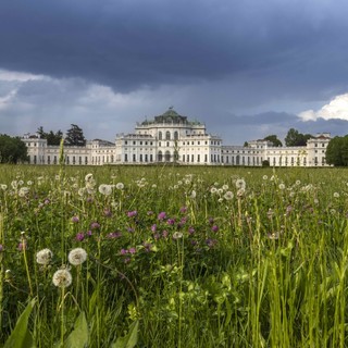 Presto bus sperimentale tra il capolinea del 4 e la Palazzina di Stupinigi