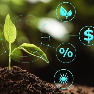 Meno pesticidi, più precisione: la promessa di Plantvoice