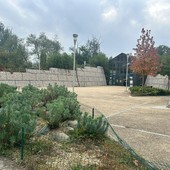 Note sotto le stelle: musica gratuita al Pav con la Filarmonica bosconerese