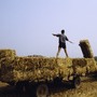 Film in quota, musica e tante mostre: cosa fare a Torino fino a domenica 10 agosto