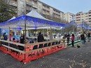 Beinasco si prepara a celebrare l'inizio della stagione natalizia