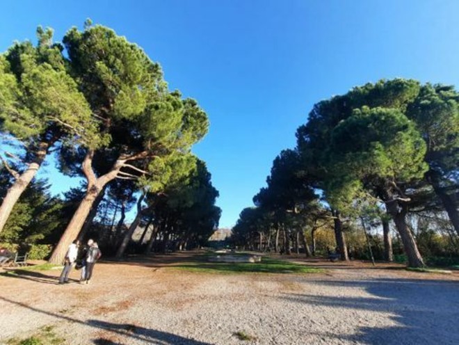 I sogni infranti del parco Europa, la rinascita resta un miraggio I sogni infranti del parco Europa, la rinascita resta un miraggio