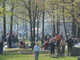 Barbecue e pic nic abusivi, decine di controlli nei parchi di Torino