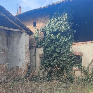 Animali scolpiti e dipinti: Ranverso svela i suoi "residenti silenziosi" con un tour speciale