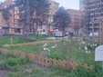 Novità in vista per il mercato di piazza Benefica