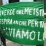 Meisino, presidio davanti al tribunale: “Fermate lo scempio”