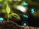 Meno pesticidi, più precisione: la promessa di Plantvoice