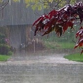 Forti piogge nella serata di domenica, disagi limitati a Moncalieri