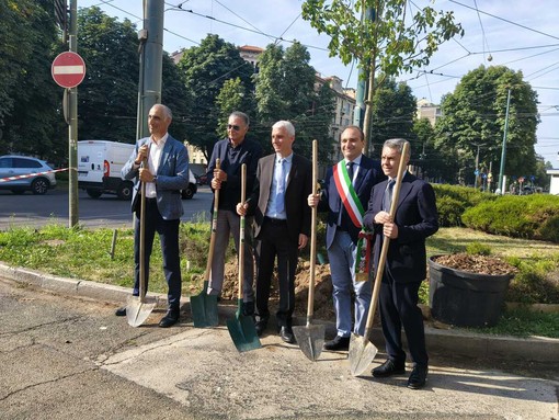 Nuovi alberi piantumati a Torino Nuovi alberi piantumati a Torino