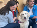 Carezze e giochi in pediatria: al via la pet therapy al Santa Croce
