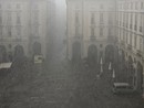 Maltempo: crolla un albero in centro città, allagamenti nei Pronto Soccorso di Molinette e Mauriziano